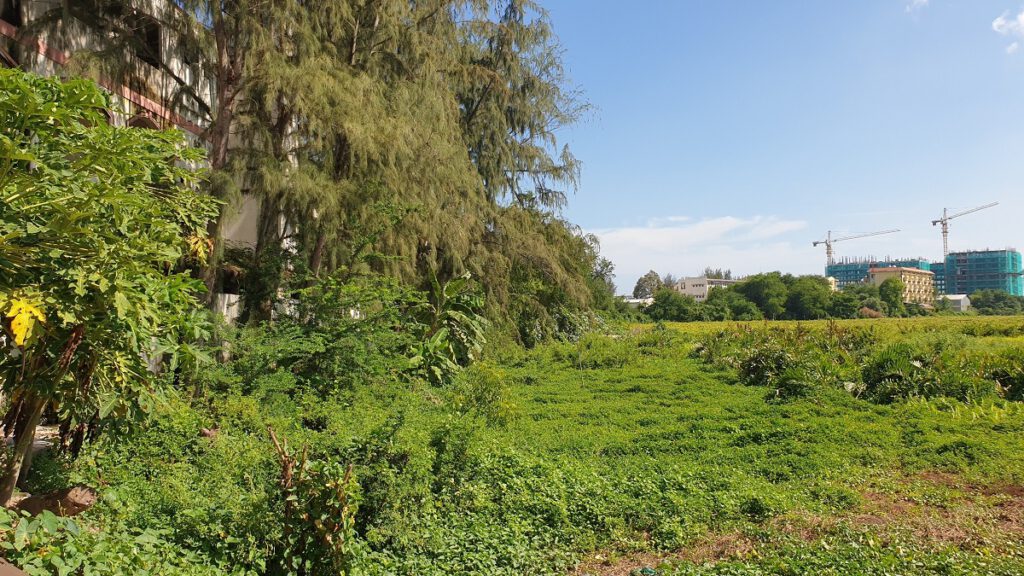 Mua bán đất vườn Hàm Thuận Nam Bình Thuận giá rẻ, Đất vườn Hàm Thuận Nam